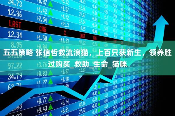 五五策略 张信哲救流浪猫，上百只获新生，领养胜过购买_救助_生命_猫咪