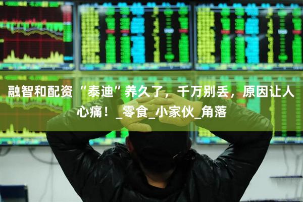 融智和配资 “泰迪”养久了，千万别丢，原因让人心痛！_零食_小家伙_角落