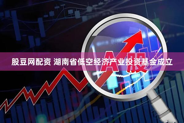 股豆网配资 湖南省低空经济产业投资基金成立