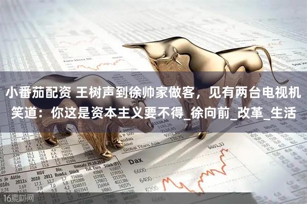 小番茄配资 王树声到徐帅家做客，见有两台电视机笑道：你这是资本主义要不得_徐向前_改革_生活