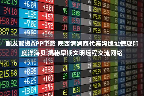 顺发配资APP下载 陕西清涧商代寨沟遗址惊现印度洋海贝 揭秘早期文明远程交流网络